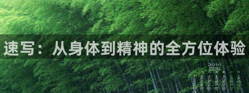 三亿体育网