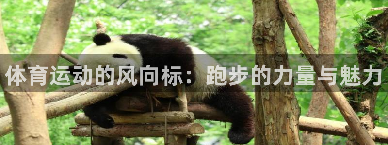 三亿体育登录：体育运动的风向标：跑步的力量与魅力