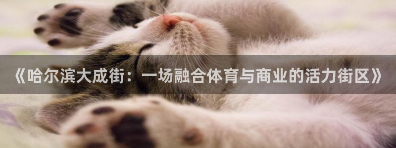 三亿体育网