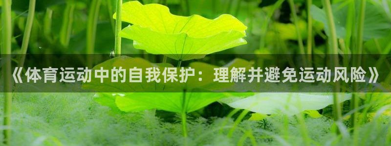 三亿体育网：《体育运动中的自我保护：理解并避免运动风险》