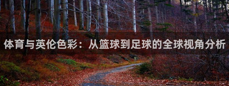 三亿体育：体育与英伦色彩：从篮球到足球的全球视角分析