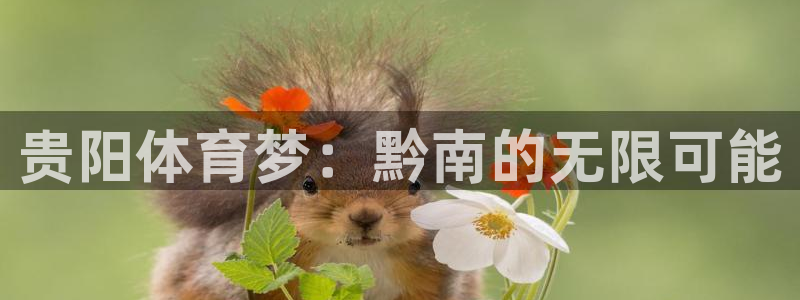 三亿体育网页版：贵阳体育梦：黔南的无限可能