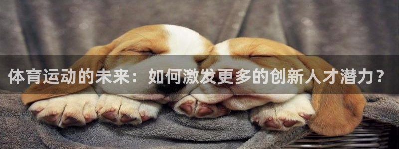 三亿体育网